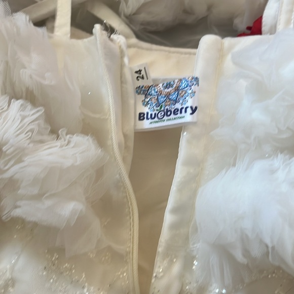 Pageant gown - Picture 6 of 8